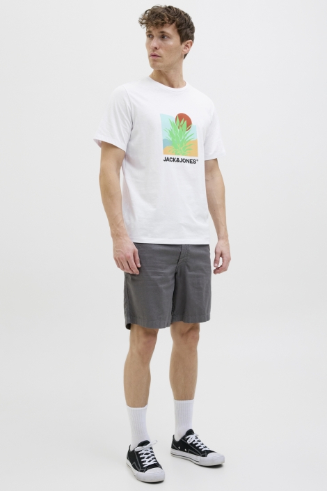 Jack & Jones jjbarbados tee ss crew neck